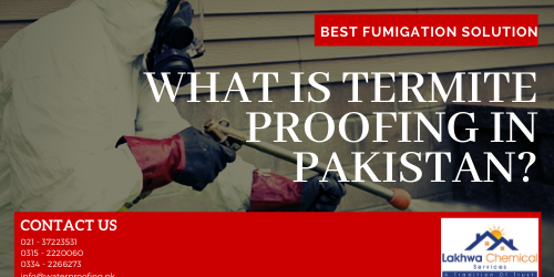 termite proofing in pakistan | chemical proofing in Pakistan | fumigation in Pakistan | lakhwa chemical Service | termite proofing in karachi | termite control chemicals in pakistan | anti termite chemical price in pakistan | termite spray price in pakistan | termite control rawalpindi | termite proofing meaning in urdu