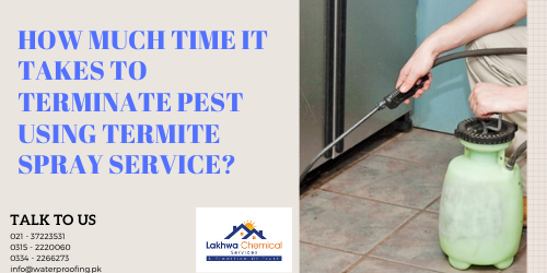 How much time it takes to terminate pest using Termite Spray Service termite spray in Karachi