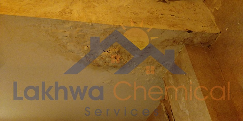 DIFFERENT TYPES OF WATER LEAKS