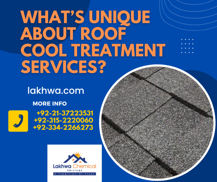 What’s Unique About Roof Cool Treatment Services roof cool treatment