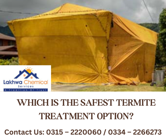 Which is the Safest Termite Treatment OPTION Safest Termite Treatment
