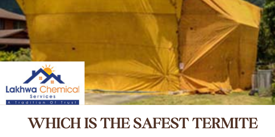 Safest Termite Treatment