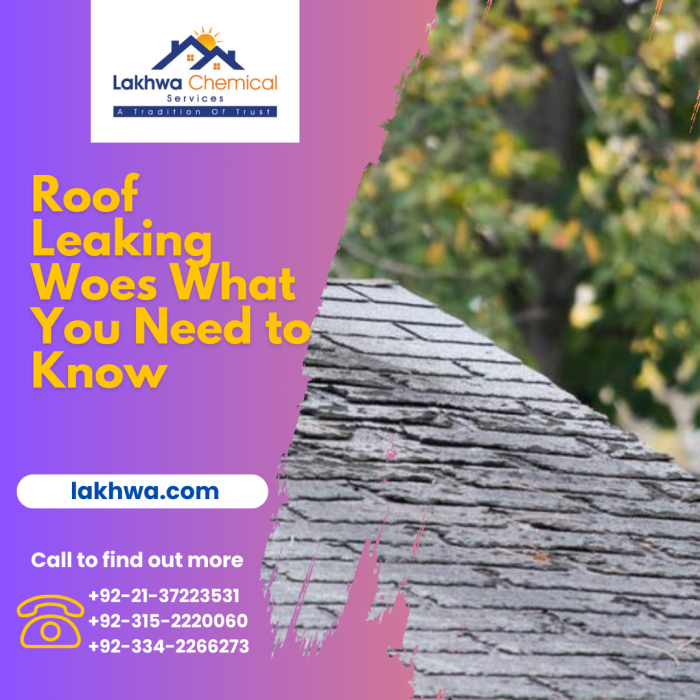 Roof Leaking Woes What You Need to Know Roof Leaking