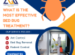 bed bug treatment
