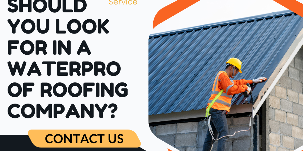 waterproof roofing company