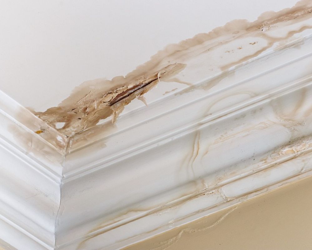 Bathroom Leakage Treatment